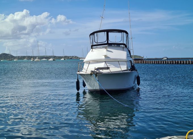 Bertram 33 sport fisher