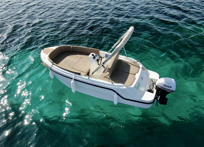 Remus 515