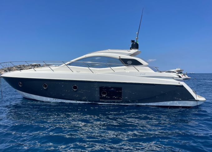Leopard 45