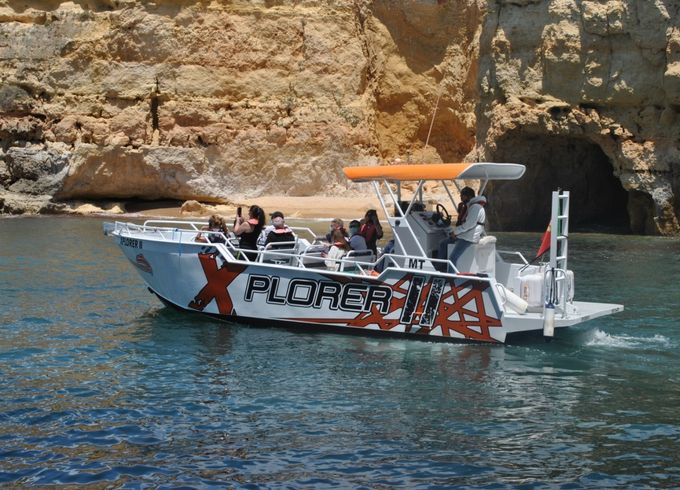 Moggaro M950TENDER