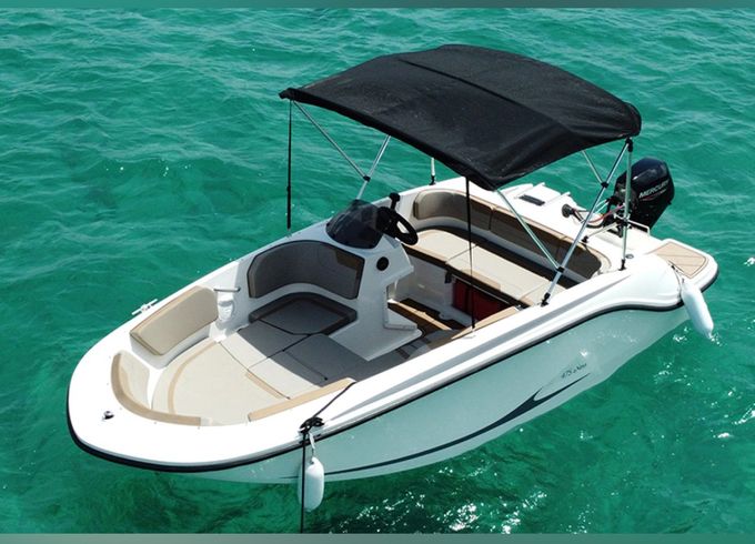 Bayliner Element