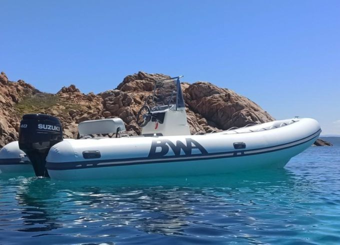 Bwa 550