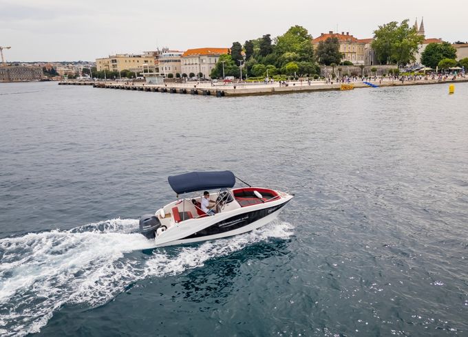 Barracuda 545