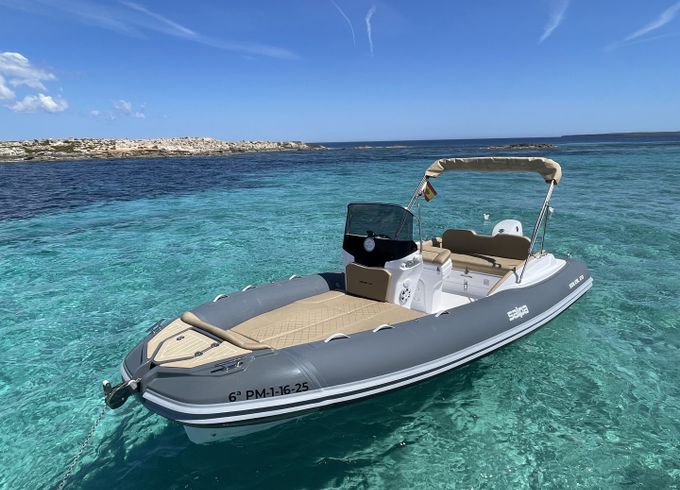 Salpa Soleil 20