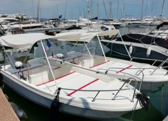 SELVA 480