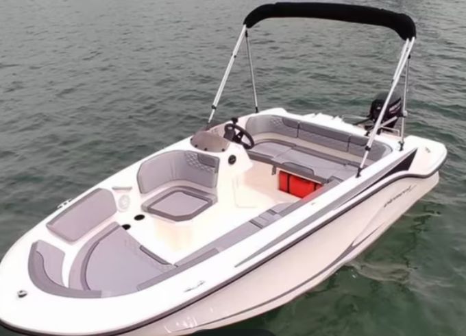 Bayliner Element