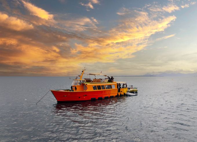 Constructeur indépendant Bateau en Bois