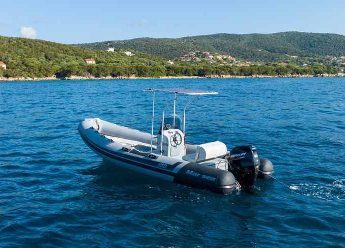Marsea SP 100