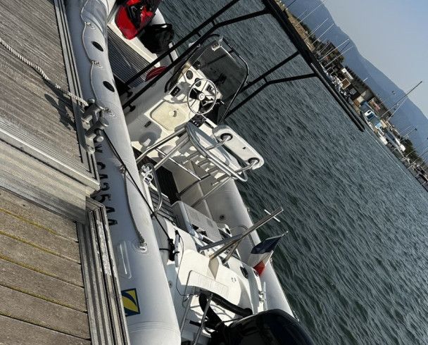 Zodiac Pro 650