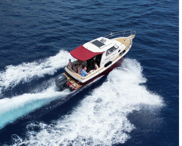 NAVAL 23 Hedonline