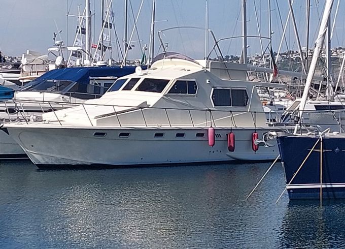 Sealine 365