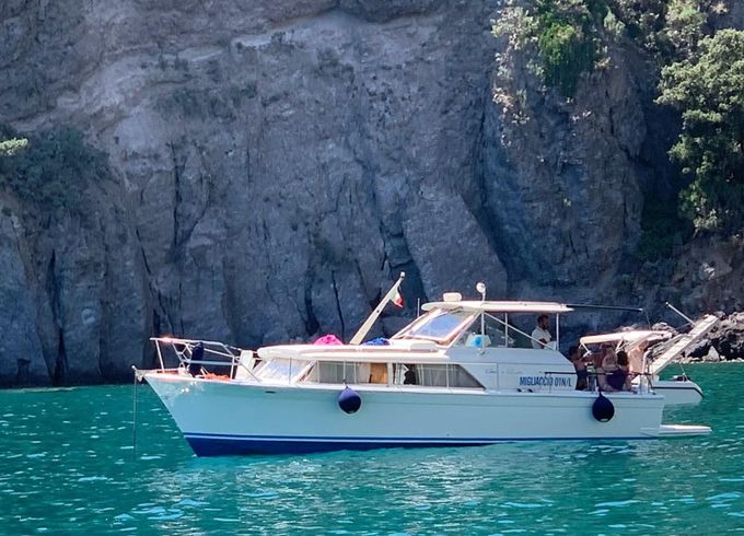 Chris Craft 31