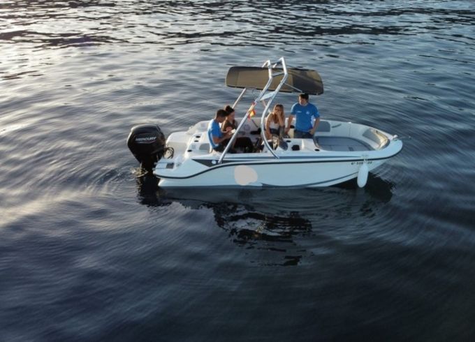 Bayliner M17