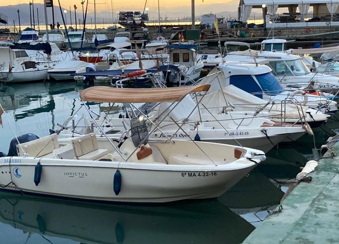 Invictus FX 190