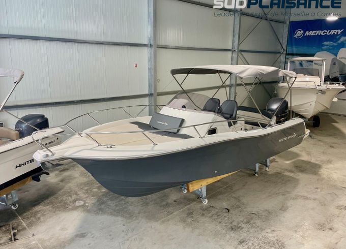 White Shark 240 sc