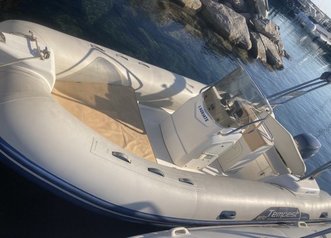Capelli 570 Luxe