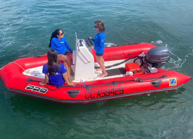 Zodiac Pro 470