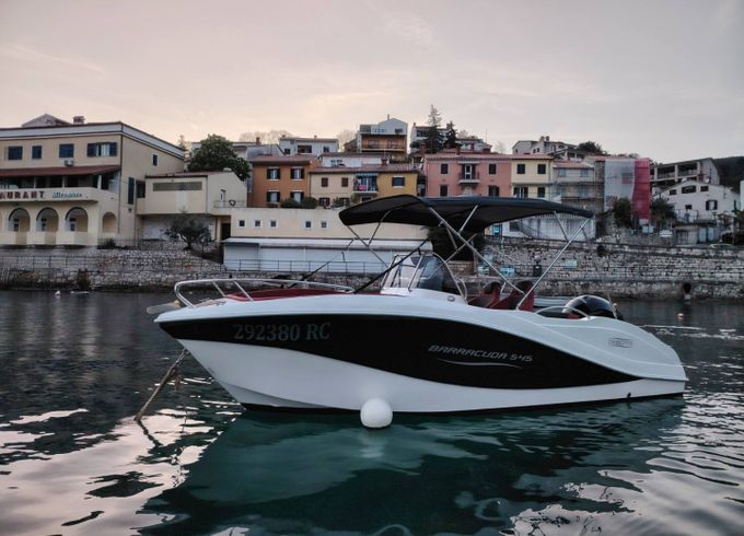 Barracuda 545