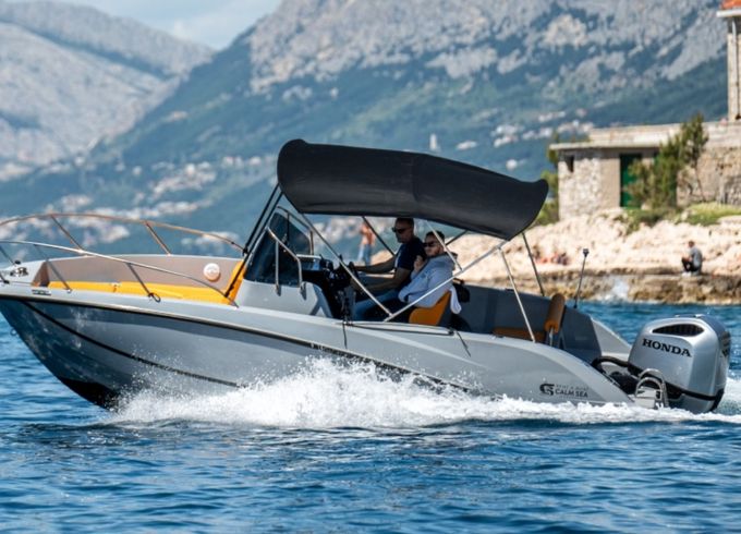 Quicksilver 675