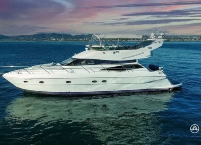 Neptunus 560