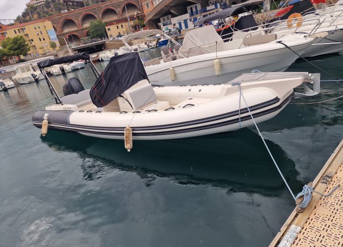Tiger 740 PROLINE