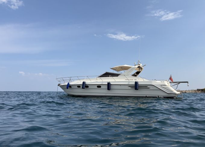 Princess 46
