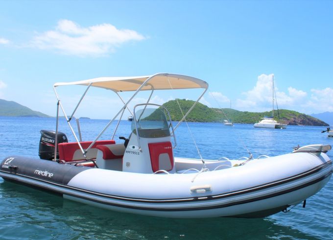 Zodiac Medline 580 Color