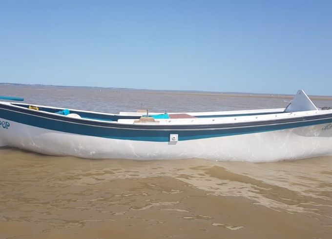 Moine Yole de mer