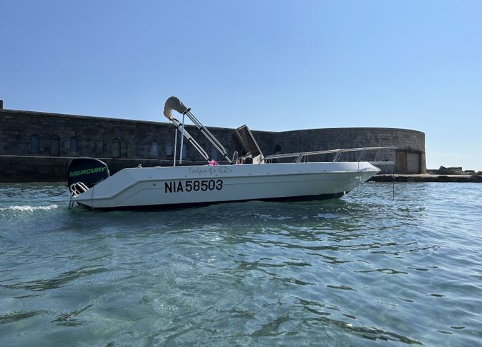 Salpa Soleil 23