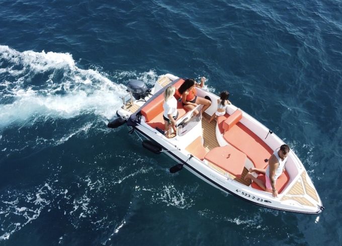 Nireus 490