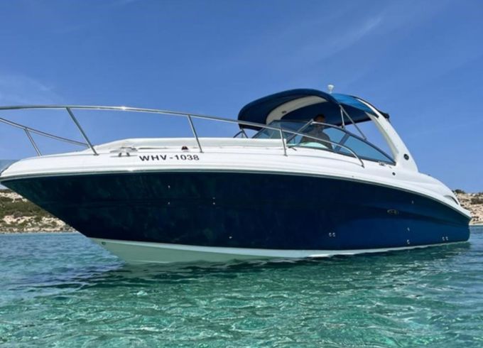 Sea Ray 295
