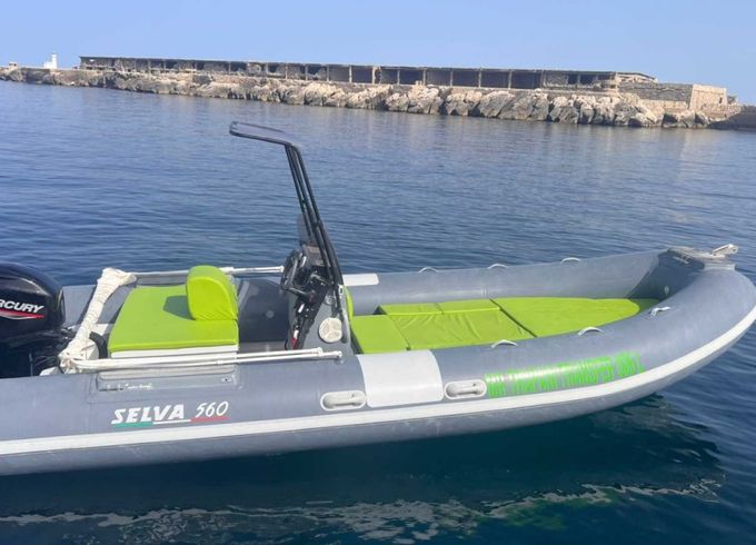 Selva Open Line D 5.6