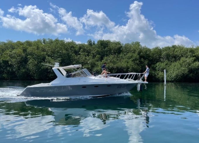 Trojan Express 38