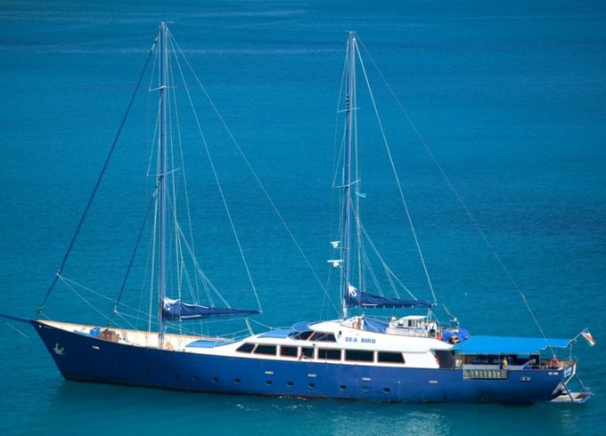 Custom Made Schooner