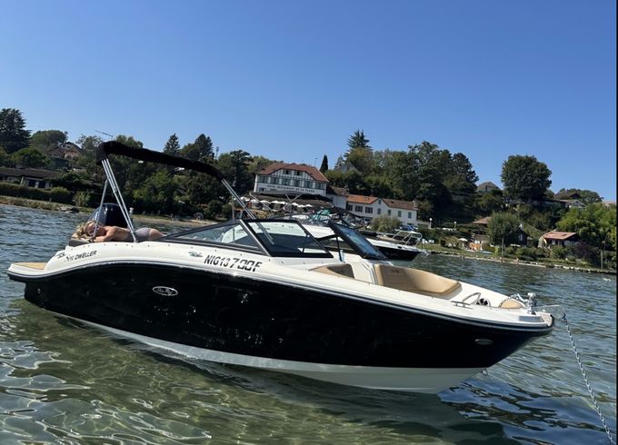 Sea Ray SPX 190 OB