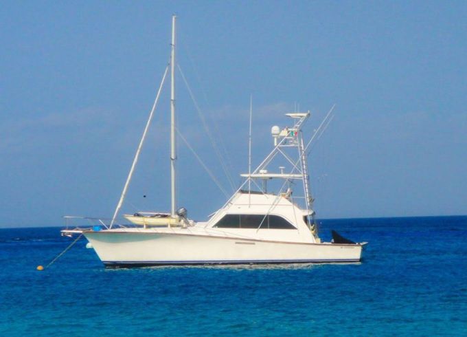 Viking 53