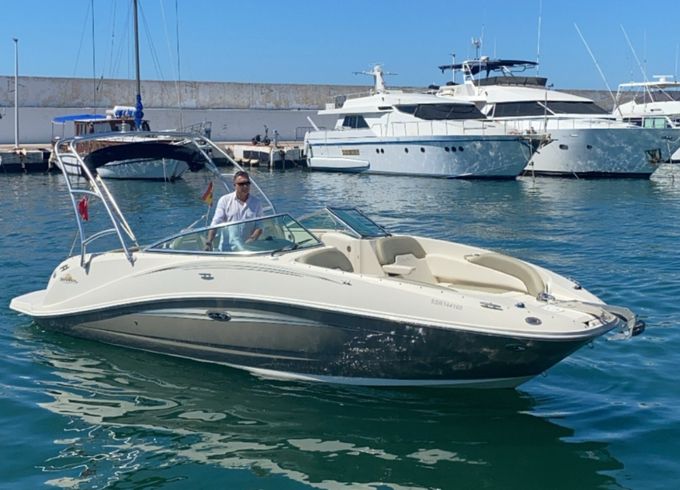 Sea Ray 260 SD