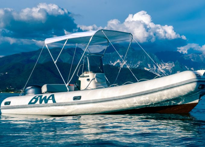 Bwa 550 Pro