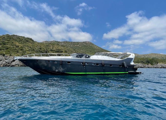 Mangusta 65