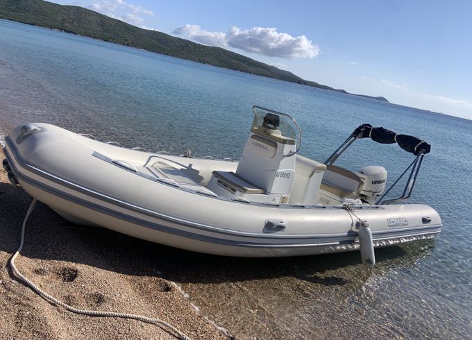 Zodiac Open pro 550