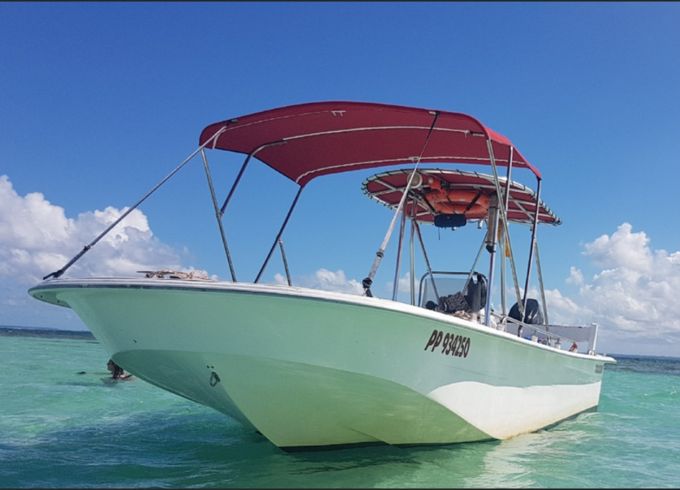 Carolina skiff 239