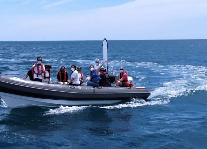 Vanguard DR 760