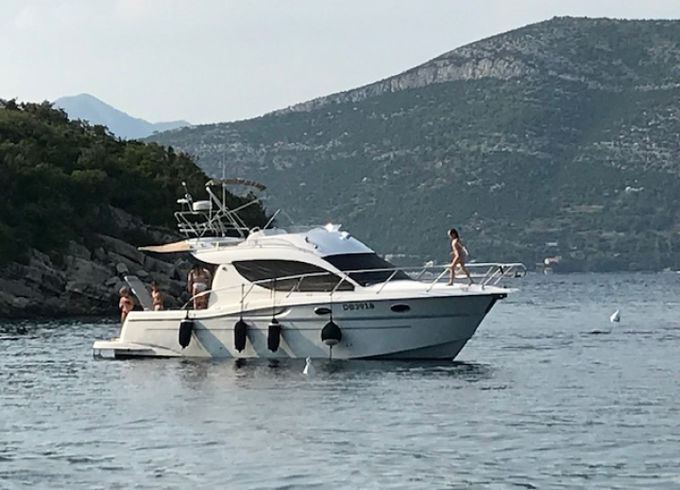 Sessa Marine Sessa Dorado 32/36
