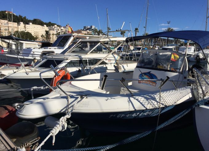 Quicksilver 630 Commander