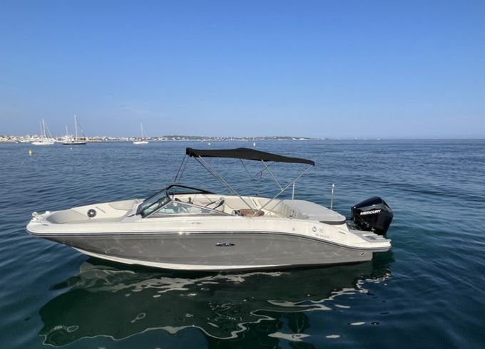 Sea Ray SPX 210