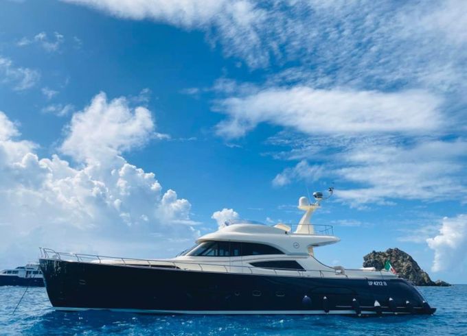Mochi Craft Dolphin 74