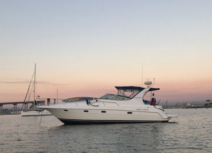 Cruisers 37