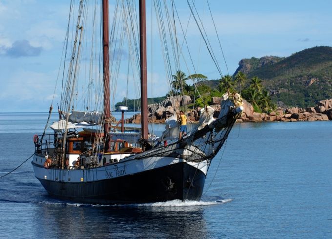 Custom Made Schooner