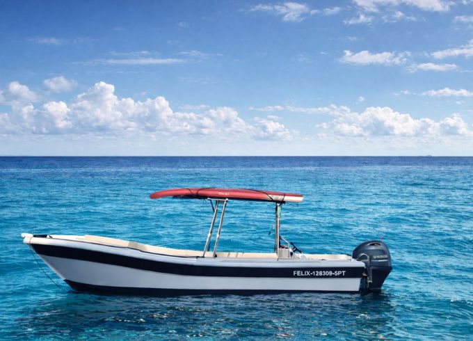 Dipol Motorboat