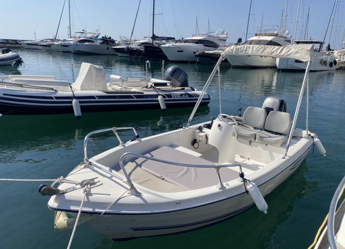 Quicksilver 440 Fish